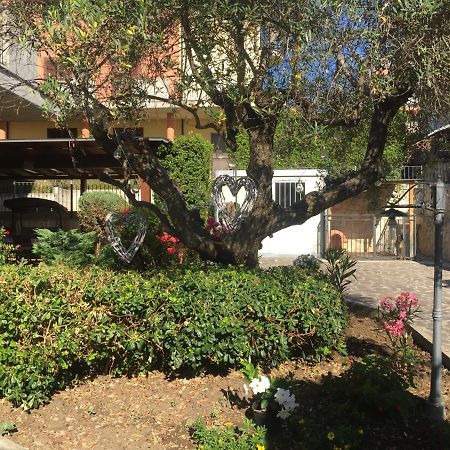 סן סלבו B&B Il Piu Bello מראה חיצוני תמונה