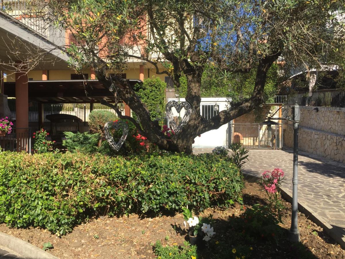 סן סלבו B&B Il Piu Bello מראה חיצוני תמונה